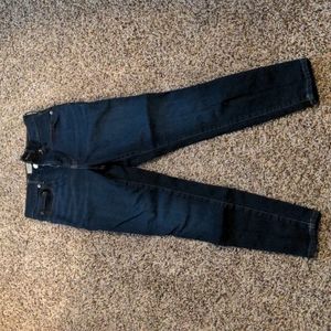 Everlane Dark Blue High Rise Skinny Ankle Jeans